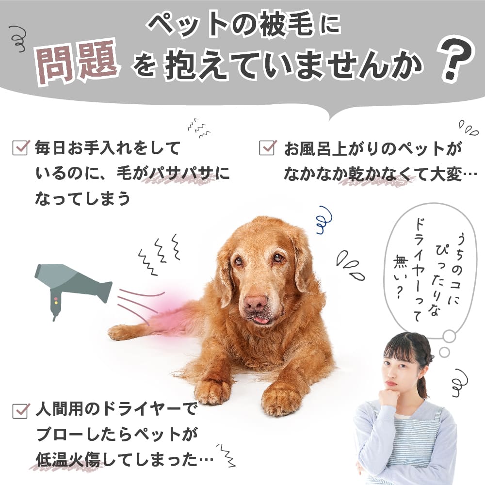 わが家のアイドル ペット用 マイナスイオン 低温 ドライヤー カワーク 犬 猫 風速 温度調整可 家庭用 送風機 ブロー 被毛 ケア 乾燥 お手入れ  ハイパワー Kawaak