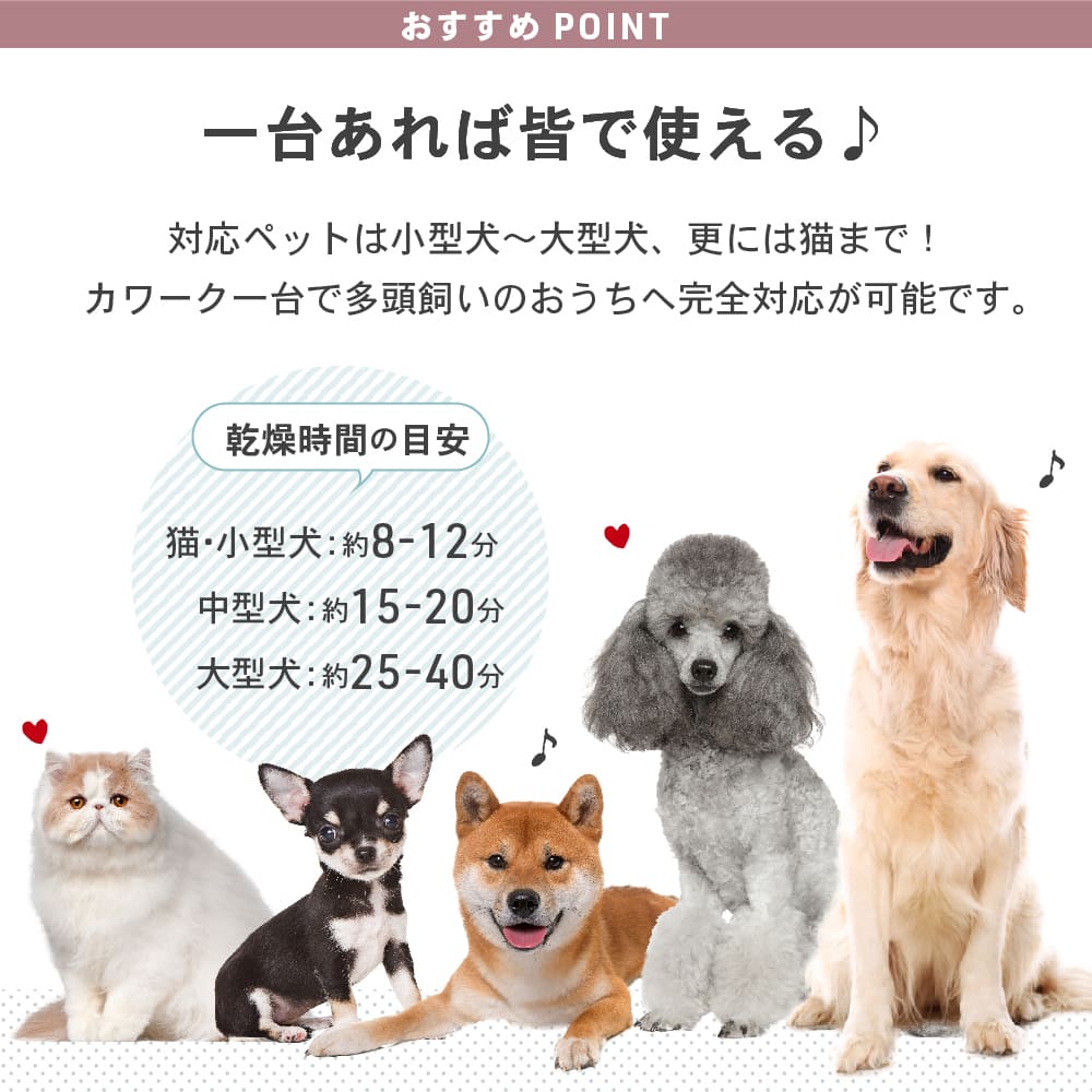 激安買蔵 ペットドライヤー 家庭用 大型犬 中型犬 小型犬 | www.pro13